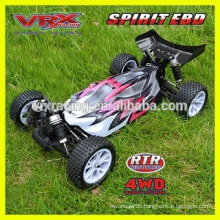 1/10 Rc Geist EBL Auto, brushless 4WD Rc Auto, Rc elektrisch angetriebene Buggy für Rc Hobby